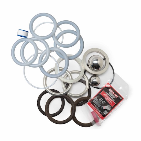 Bedford Precision Parts Bedford Precision Pump Service Kit, Minor for Titan 315-050 20-3883